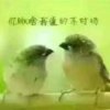《忘记过去重新开始》的头像