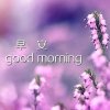 雨汐的头像