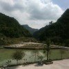 黑色★晚礼服的头像