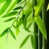 心悦神怡的头像