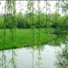 芊芊结的头像