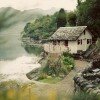 听雨的头像