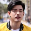 杨梅的头像
