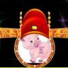 星月情缘集团主创的头像