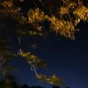 子音舍我其谁主唱的头像