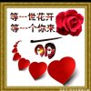 默默的头像