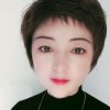 兰花草的头像