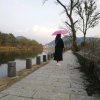 Feng起东山的头像