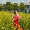 雾里看花的头像