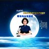冰毛毛熊【日耀】的头像