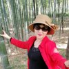 言芳行洁(毛晓芳)的头像