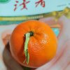 YY的头像