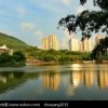 元帅的头像