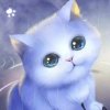 小猫咪的头像