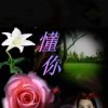 唯一的头像