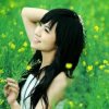 燕紫的头像