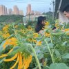 明月（3）的头像