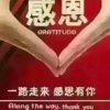 粉红情歌（拒bⅰ）的头像