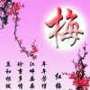 踏雪寻梅的头像