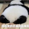 宠溺红颜的头像