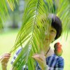 杨柳风的头像