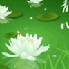 心静如水的头像