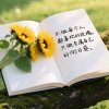 蜕变的头像
