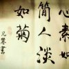 颖慧的头像