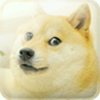 〃的头像
