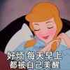 燕子的头像
