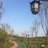 QHj的头像