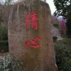 福从天降的头像