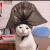 微笑ㄊ↓勾起嘴角——的头像