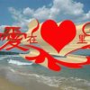 萍《退》的头像
