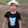 燕子的头像