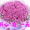 皇蜂李的头像