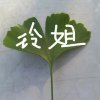 忆舞的头像