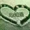 帝君清风的头像