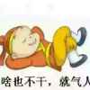 自由的鱼的头像
