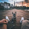 君无戏言的头像
