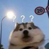 光感的头像