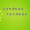 永不言弃的头像