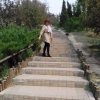 阳光明媚的头像