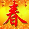  弘毅飞龙在天的头像