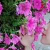 美美哒的头像