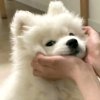 %的头像