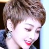 lqf的头像