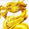 龙的困惑的头像