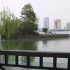 的头像