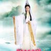 星光恋之花-梦的头像